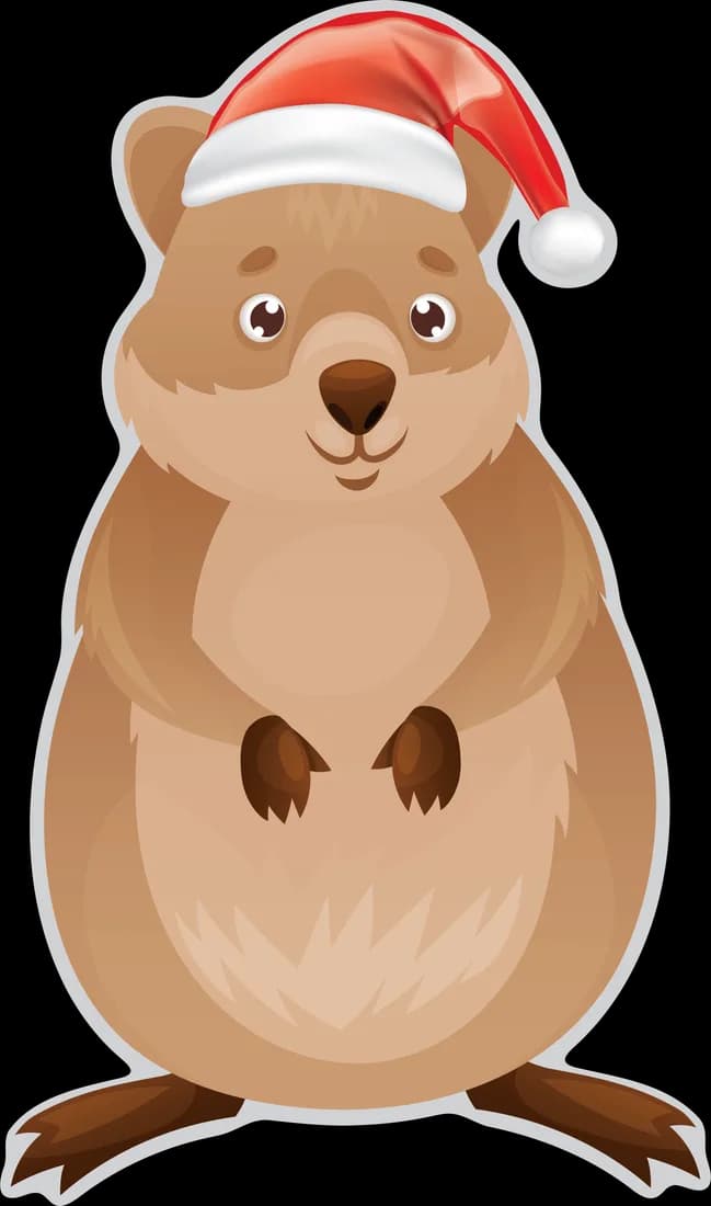 Quokka