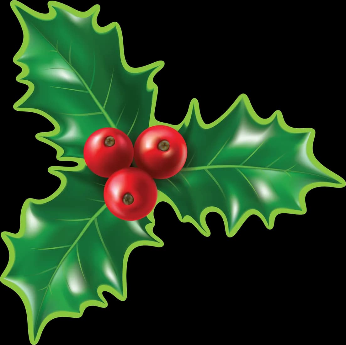 Holly