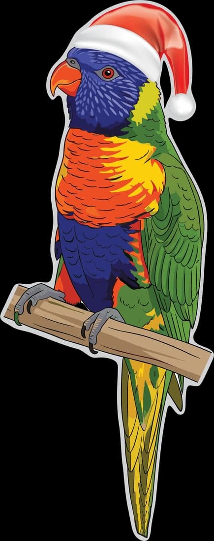 Lorikeet