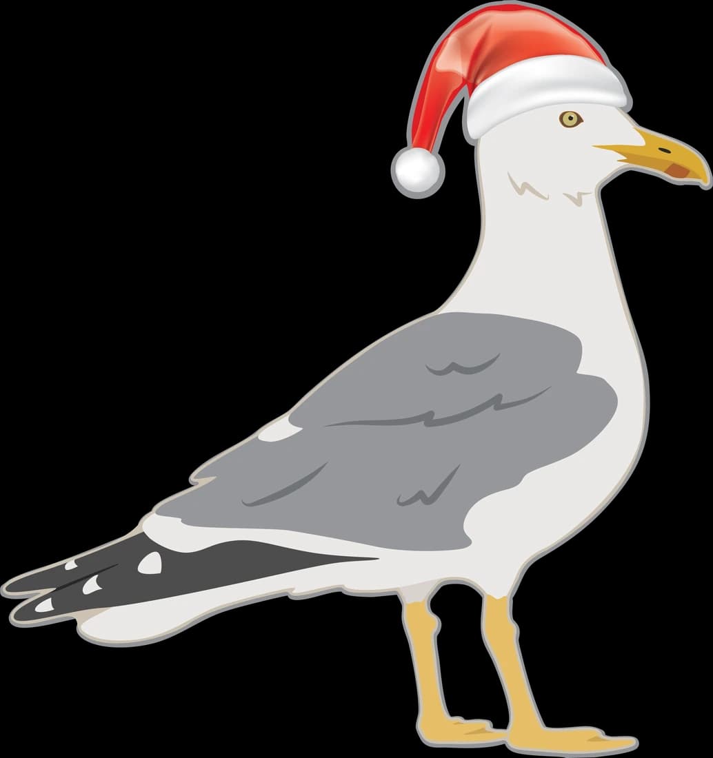Seagull