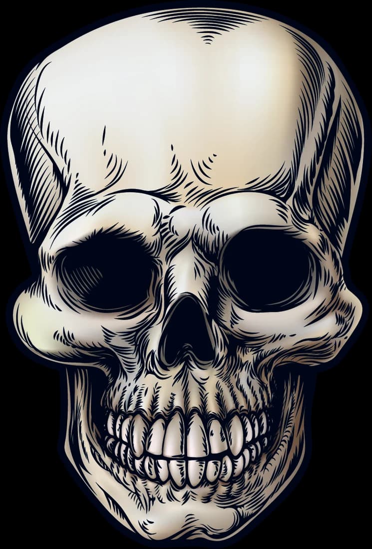 Skull